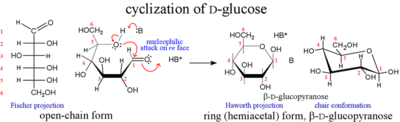 glucose_cyclization.gif