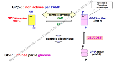 Capture d’écran 2012-10-30 à 21.56.54.png