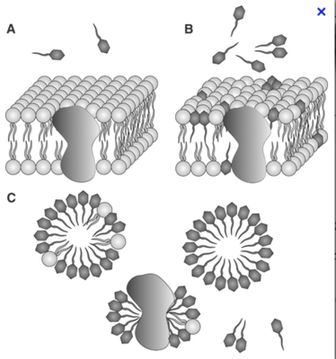 Capture d’écran 2012-11-05 à 01.40.06.png