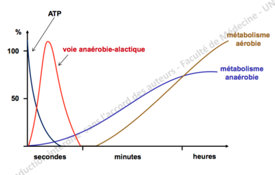 Capture d’écran 2012-11-08 à 00.01.29.png