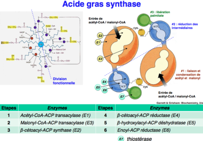 Capture d’écran 2012-11-10 à 01.20.28.png