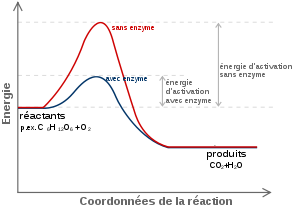 Sans titre.png