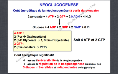 Capture d’écran 2012-11-10 à 18.06.17.png