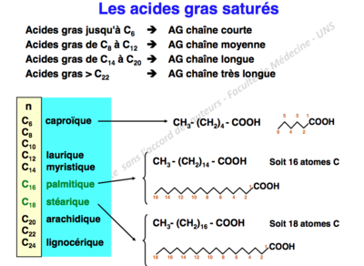 Capture d’écran 2012-11-12 à 17.46.39.png
