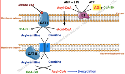Capture d’écran 2012-11-13 à 18.55.38.png