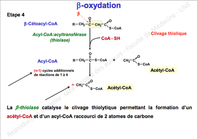 Capture d’écran 2012-11-14 à 21.40.55.png