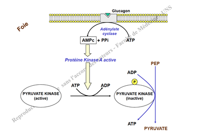 Capture d’écran 2012-11-15 à 10.17.07.png