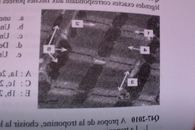 Photo du 17-11-12 à 16.11.jpg