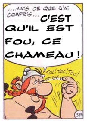 il est fou ce chameau.png