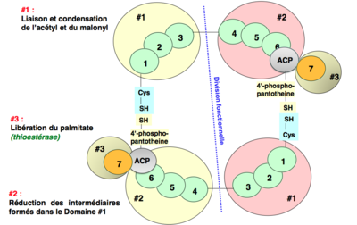 Capture d’écran 2012-11-22 à 01.50.58.png