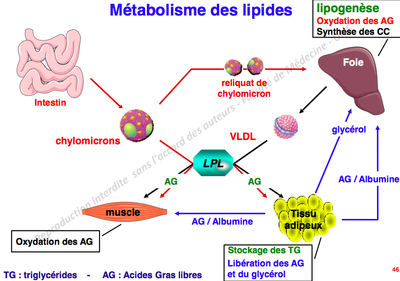 Capture d’écran 2012-11-27 à 12.03.07.png